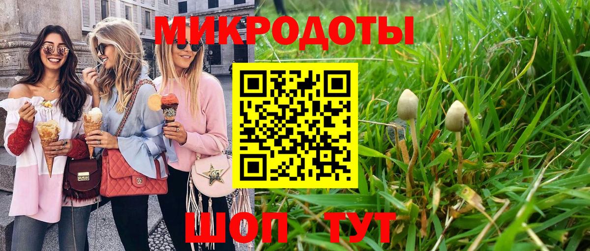 Богданович  Псилоцибиновые грибы GOLDEN TEACHER  Вход с VPN  Галлюциногенные грибы Magic Shrooms 